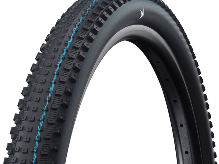 Schwalbe Buitenband zwart
