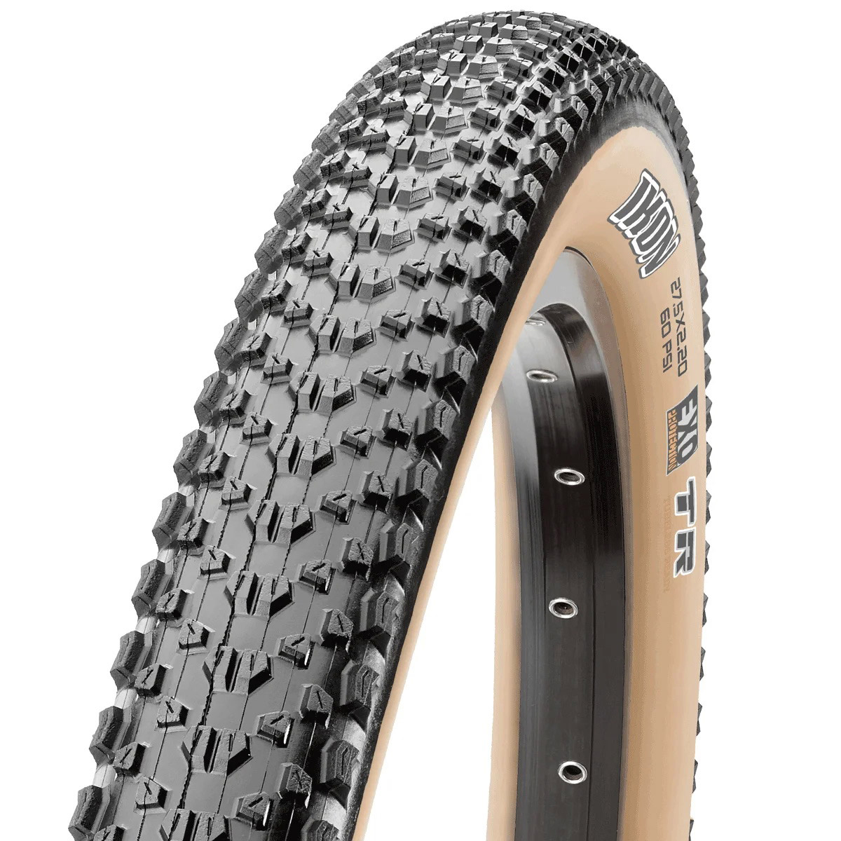 Maxxis Buitenband tanwall