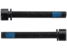 Elvedes flatmount bouten m5 × 38mm 1 paar
