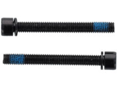 Elvedes flatmount bouten m5 × 43mm 1 paar