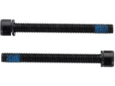 Elvedes flatmount bouten m5 × 48mm 1 paar