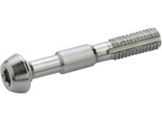 Elvedes banjo bouten voor Shimano (2st)