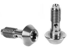 Elvedes banjo bouten voor Magura (2st)