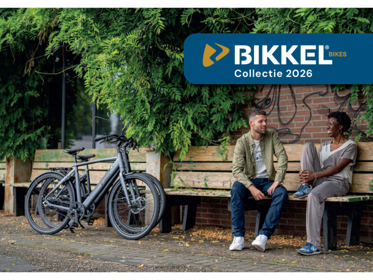 Bikkel bevestigingsmaterialen. ✓ Snel geleverd ✓ Gratis verzending v.a. €75