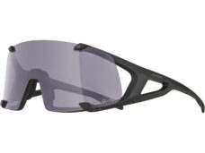 Alpina Sports sportbril Hawkeye Q-lite V zwart