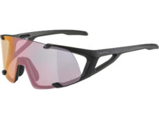 Alpina Sports sportbril Hawkeye S QV mat zwart