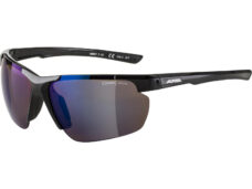 Alpina Sports sportbril Defey HR zwart
