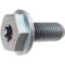 Torx zilver