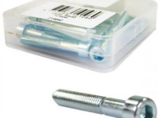 Bofix inbusbout M6x40 RVS (12st)
