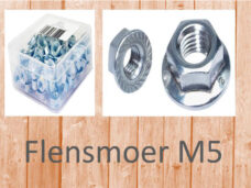 Bofix flensmoer M5 (100st)