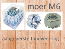 Bofix moer met aangeperste tandveerring M6 (100st)