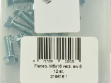 Bofix 219616 Flensbout M6x16 verz. SW8 p/12