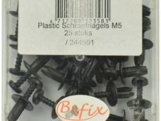 Bofix 244591 Schroefnagel plastic M5 p/25