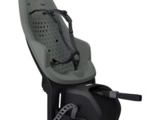 agave