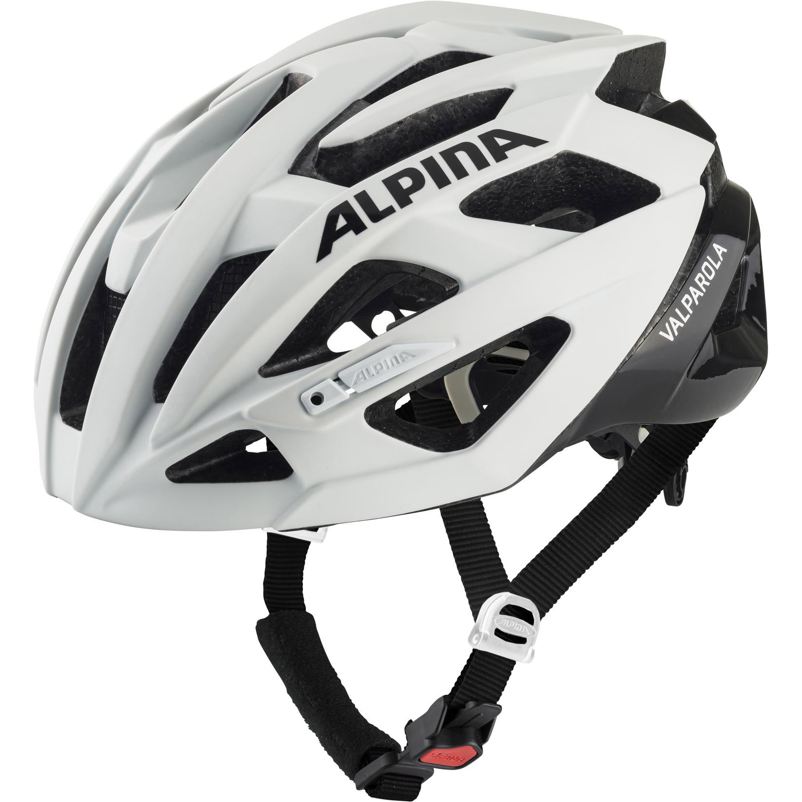 Alpina Fietshelm zwart
