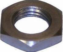 SA HMN137 borgmoer asconus