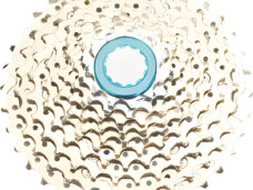 Primax E cassette 10v 11-36T chroom
