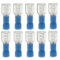 blauw