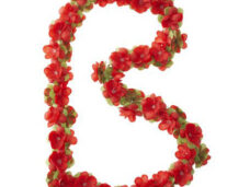 Basil bloemenstreng Flower Garland 120cm rood