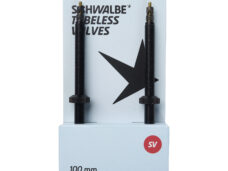 Schwalbe tubeless ventiel 100mm (2st)