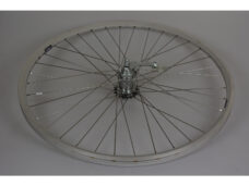Achterwiel 28 19-622 ZAC 2000 zilver 36 spaak Inox remnaaf