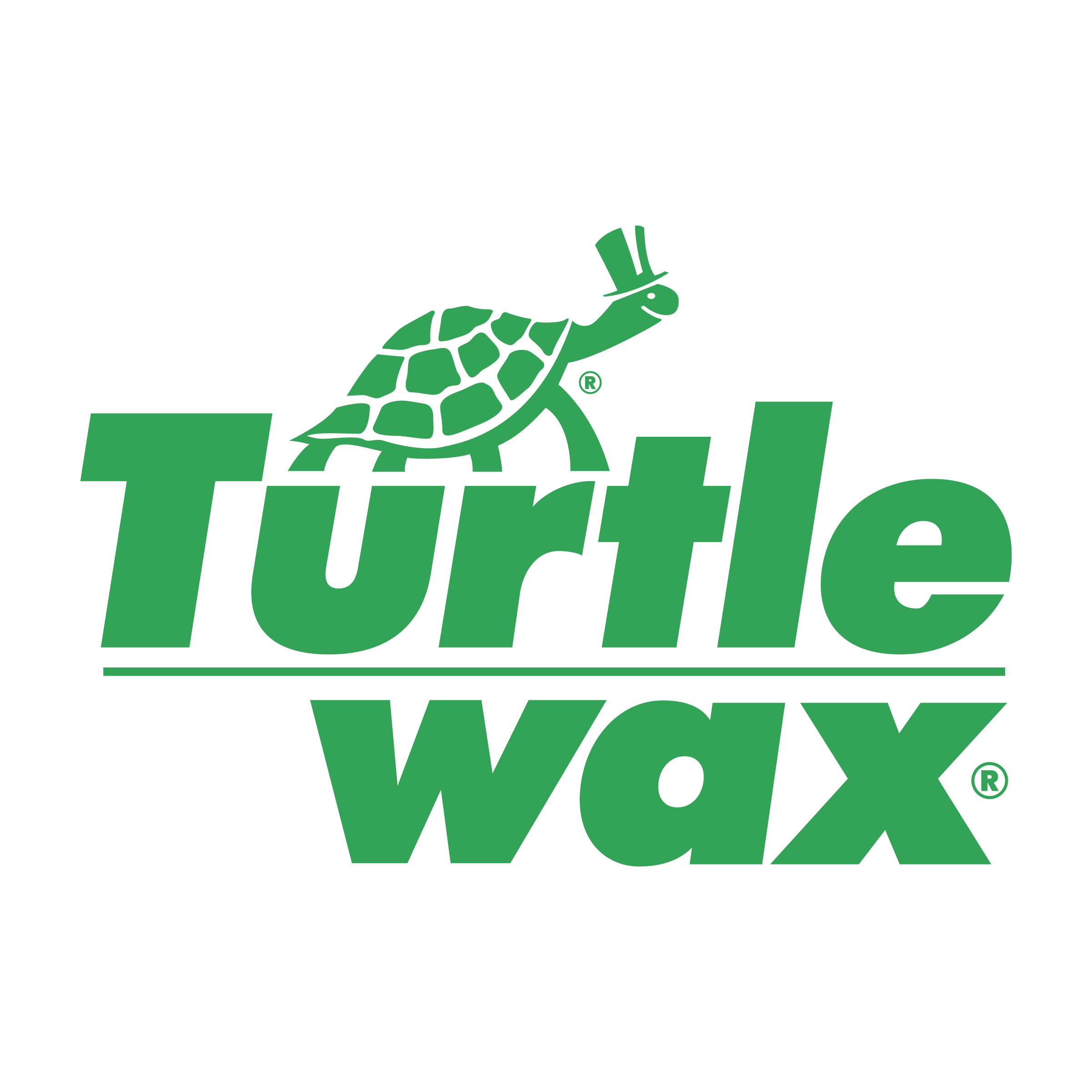 Turtle WAX