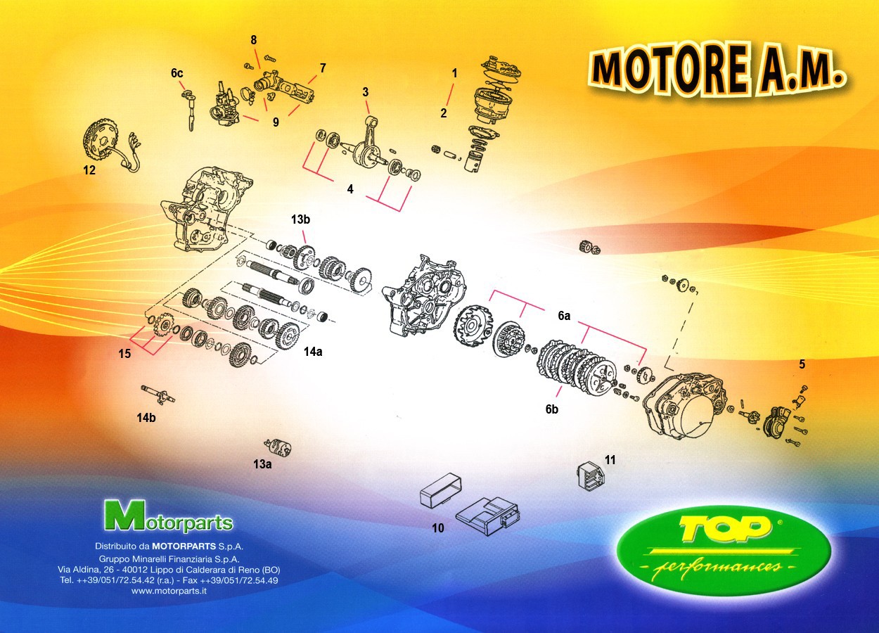 AM6 Top Racing Parts