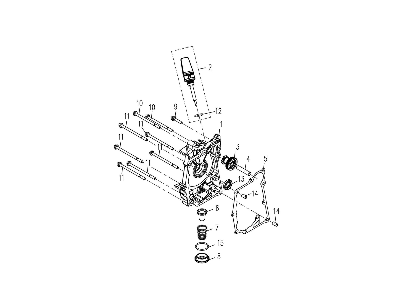 Z08-CARTER Links