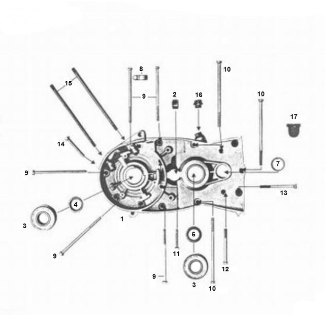 Carter Links